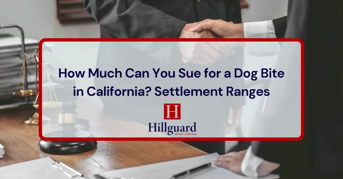 How Much Can You Sue for a Dog Bite in California? Settlement Ranges