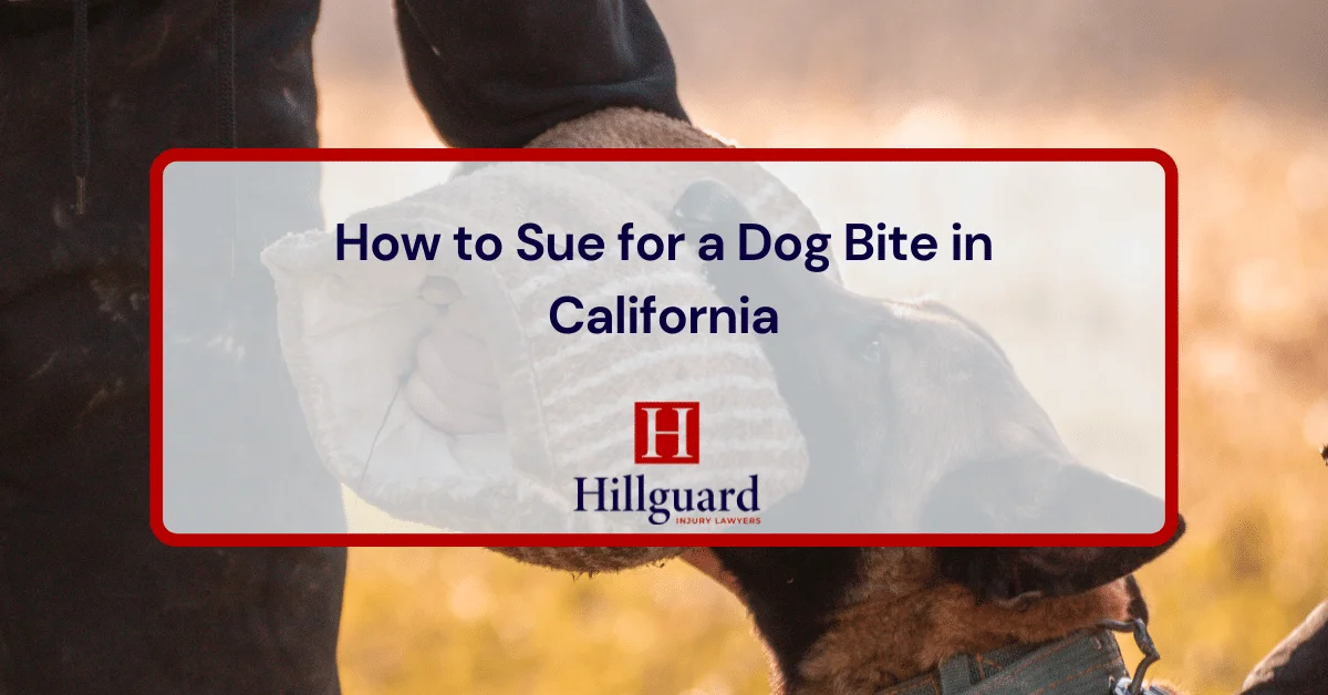 How to Sue for a Dog Bite in California