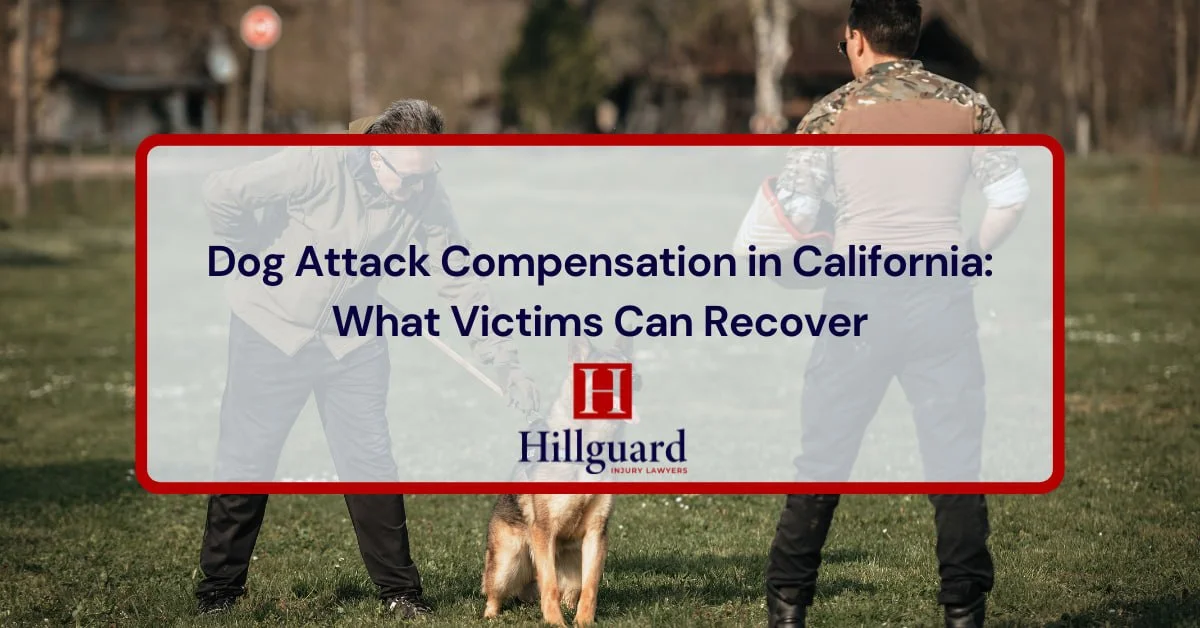 Dog Attack Compensation in California: What Victims Can Recover
