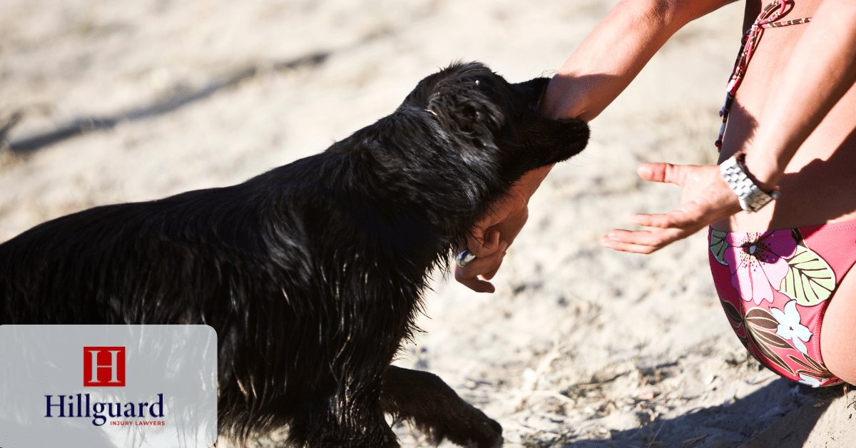 hillguard posts (1) Dog biting a person’s hand during an outdoor incident