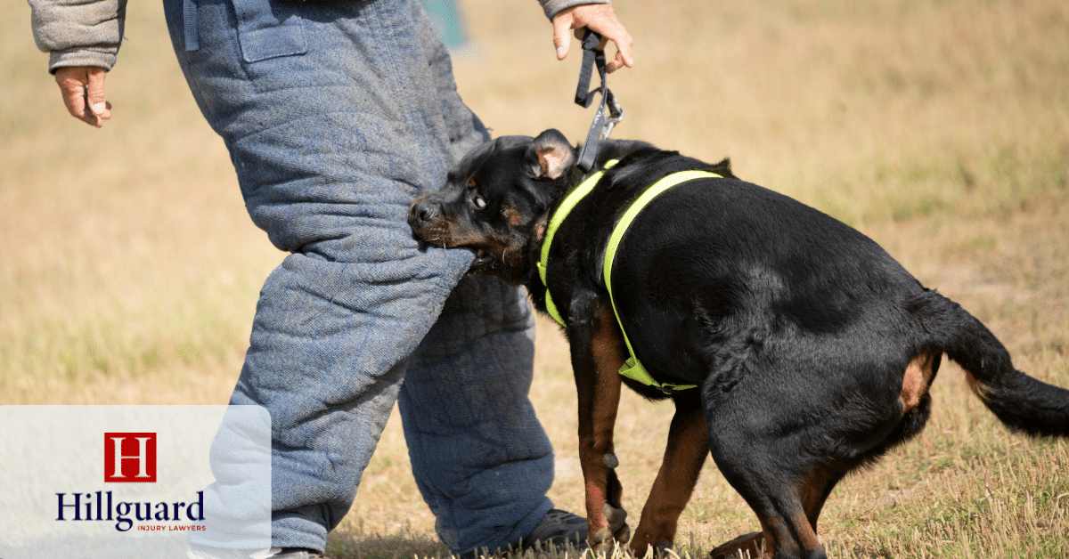 hillguard posts Dog bite attack causing injury during a training demonstration