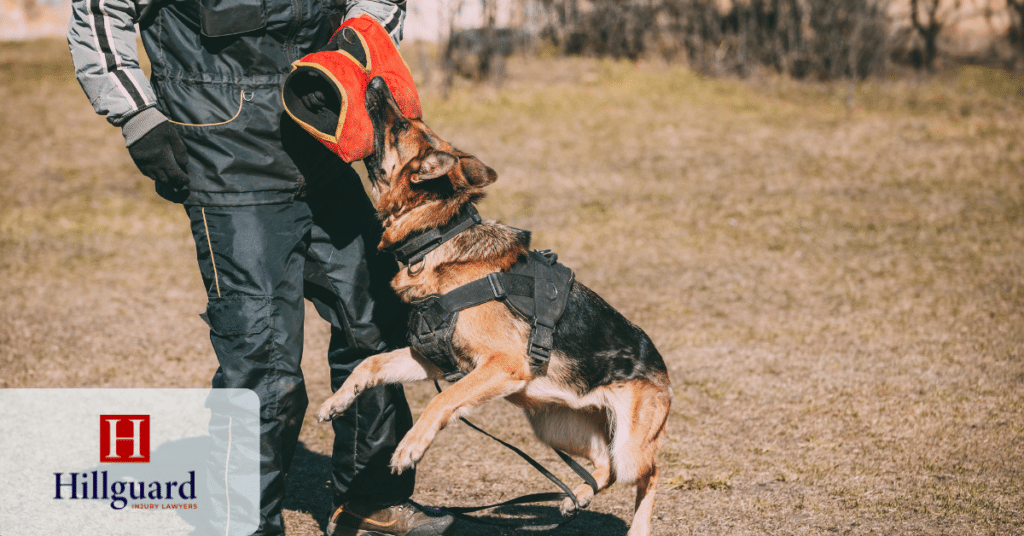 When Dog Bite Law Applies - Hillguard