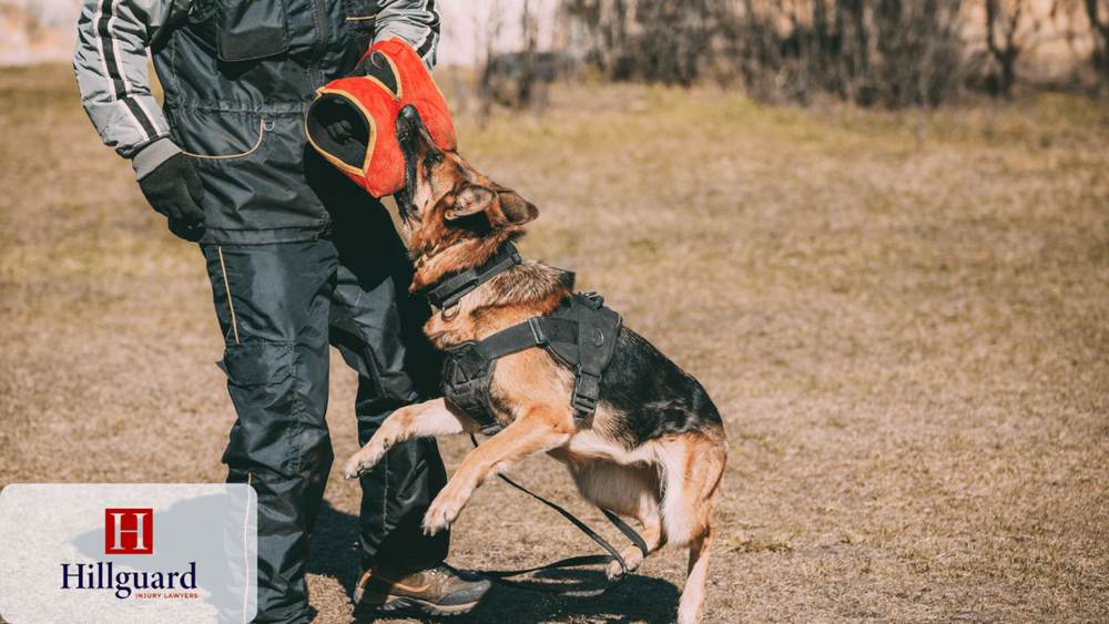 DOG BITES - HILLGUARD